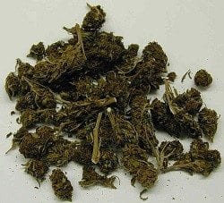 marijuana driving tn marijuana driving tn